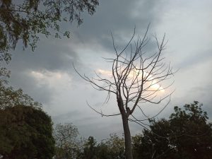 storm in santiniketan