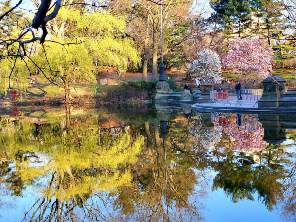 central park NYC