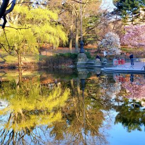 central park NYC