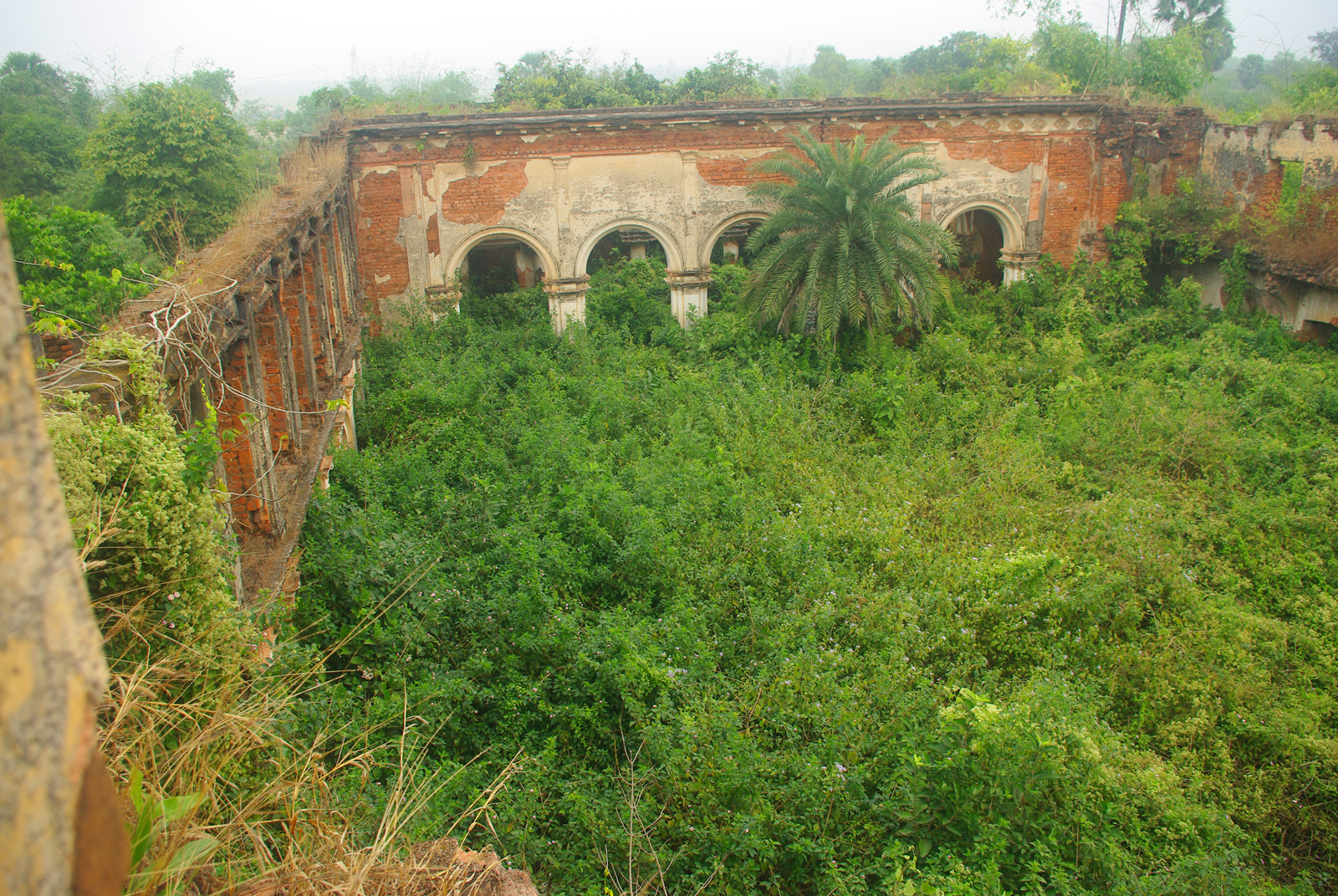 Radhaballabh temple kalikapur