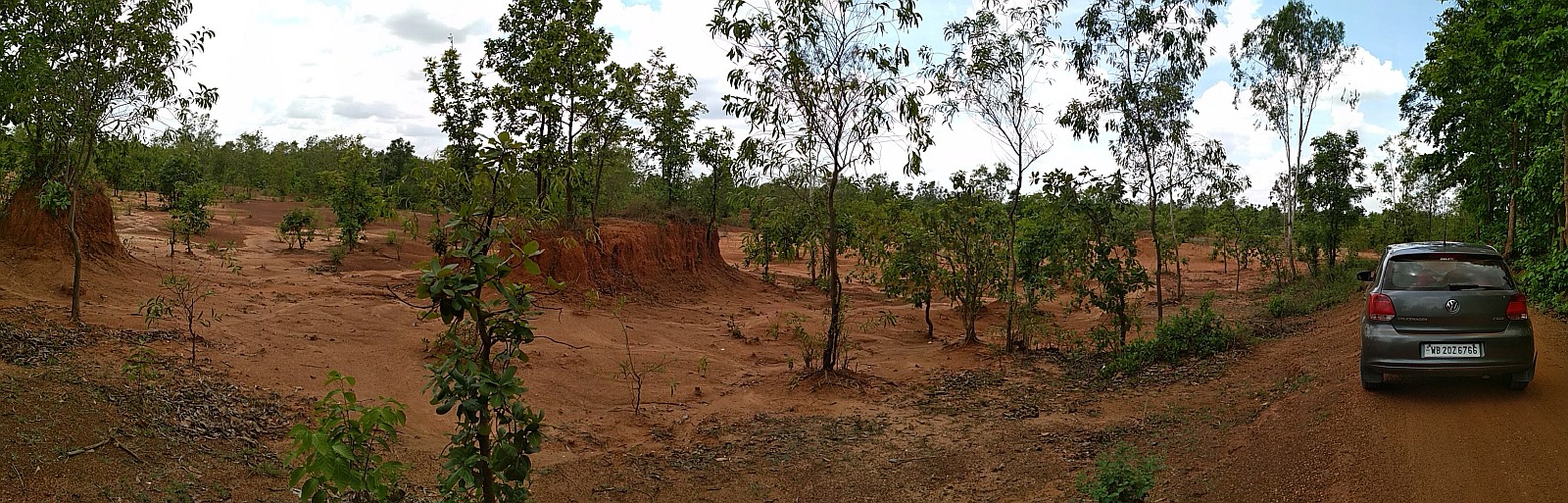 Aduria forest