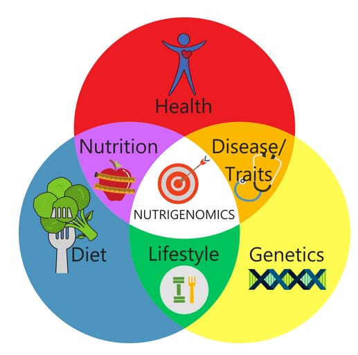 Nutrigenamics