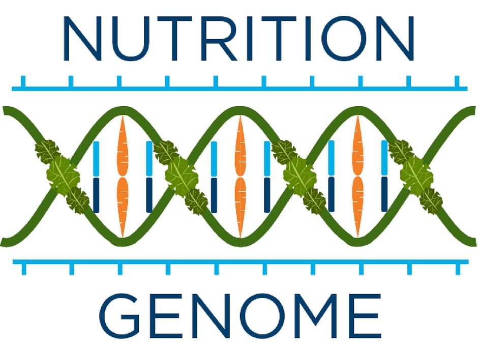 Genome Damage