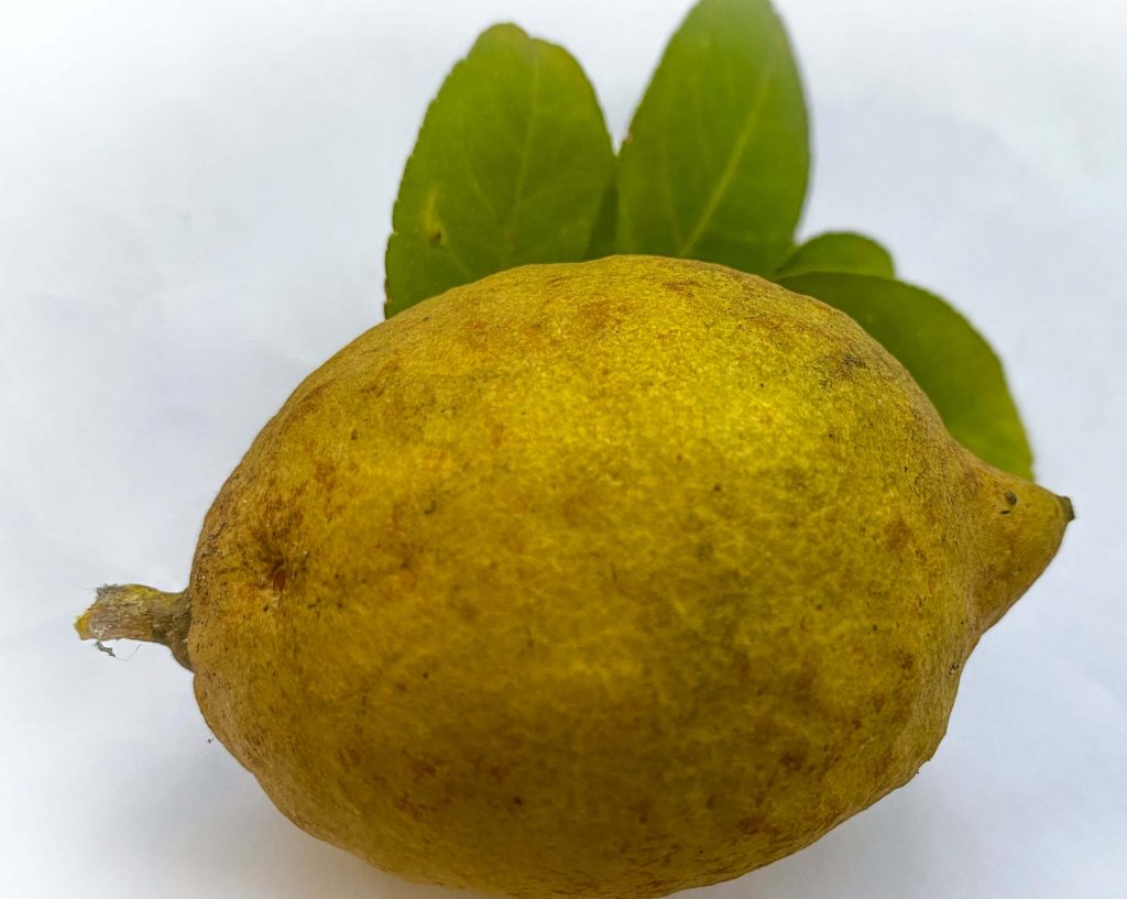 Lemon