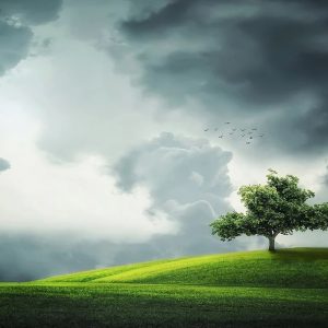Bengali Poem on Love and Loneliness