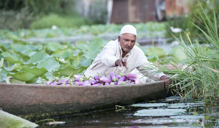 Dal_Lake