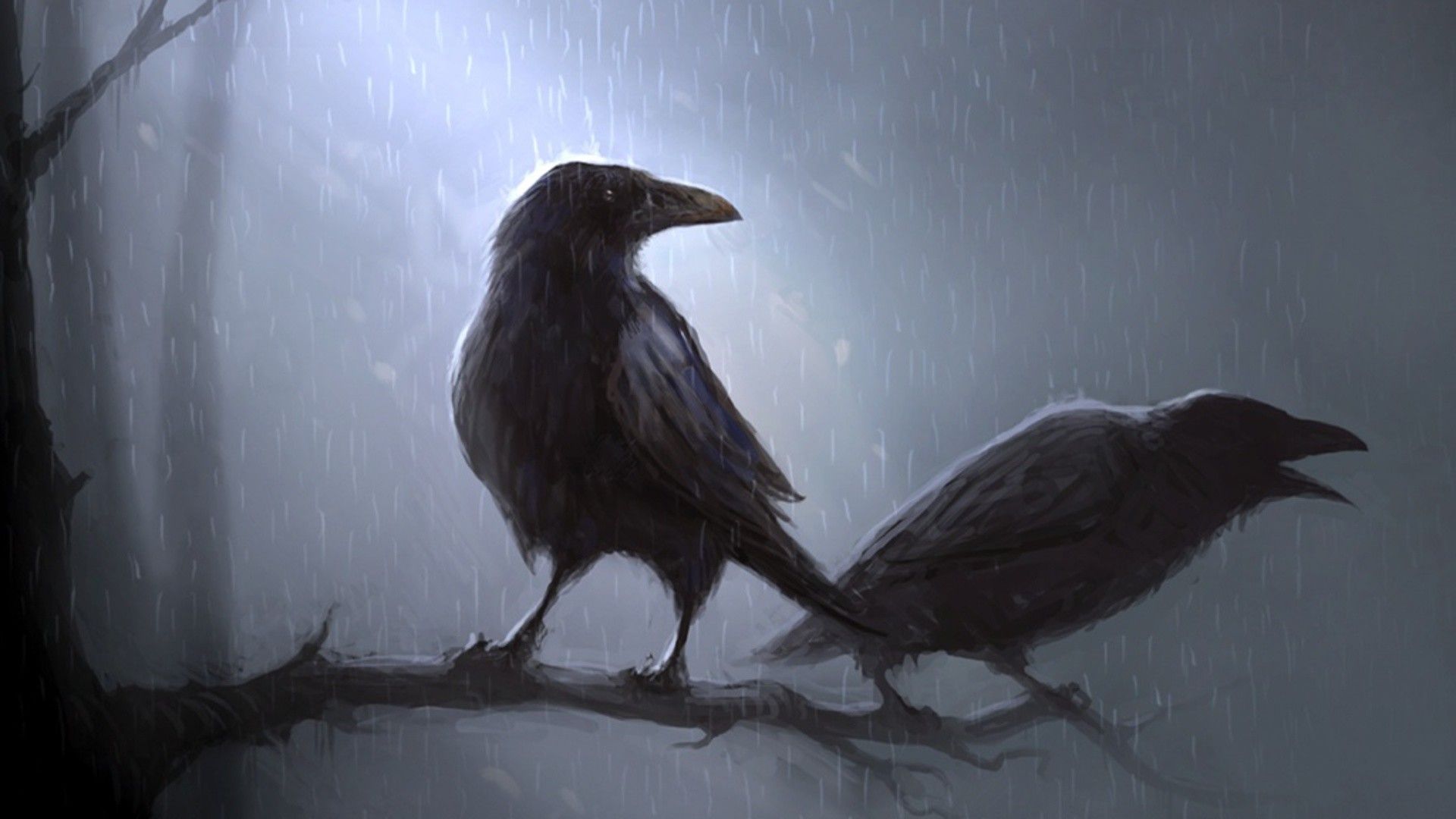 Crows