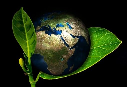 Earth day