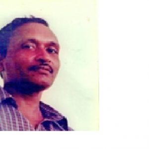 মালিপাখি