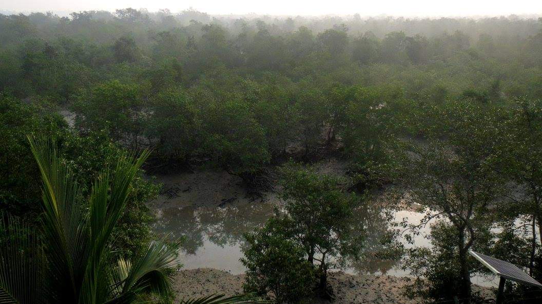 Sunderban