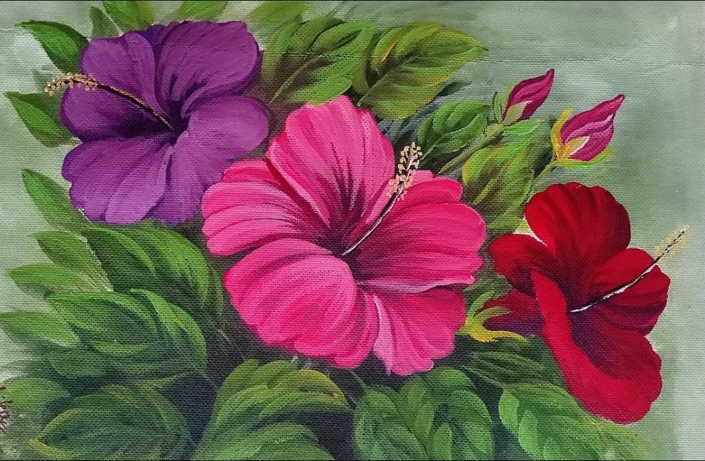 Hibiscus Flowers