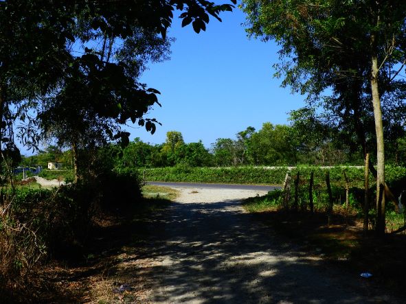 Trekking in Jayanti Hills