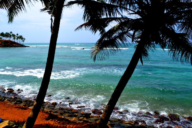 turtle bay beach Srilanka