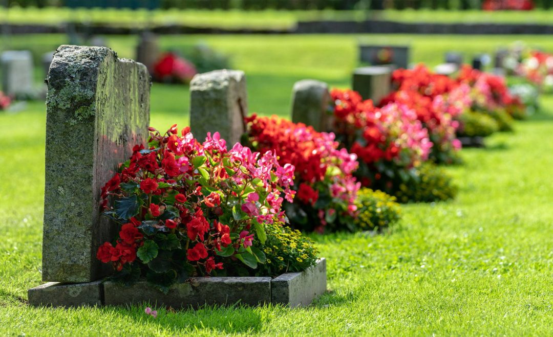 Graveyard Garden