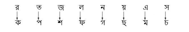 Code in Kaamsutra