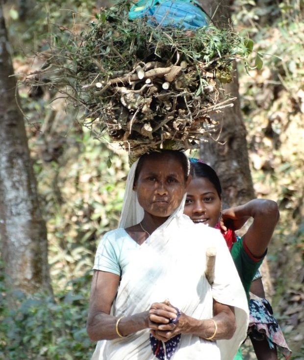 Women Tea Labours