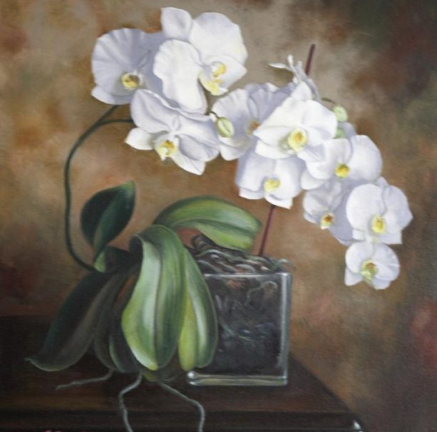 Orchid with White Flower