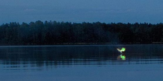 Swamp Light