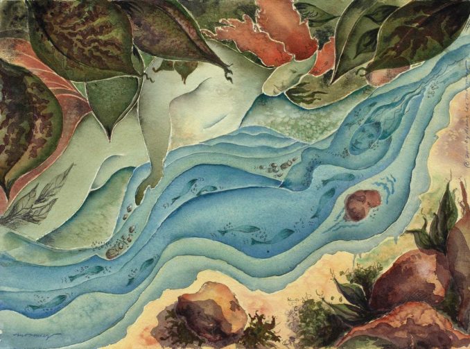 River called Jhilli