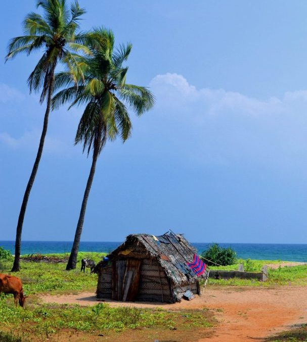 Nilaveli Beach Srilanka