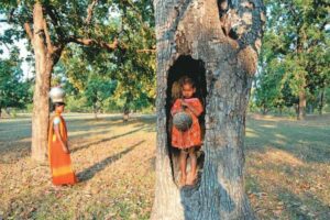 Bastar Tribal