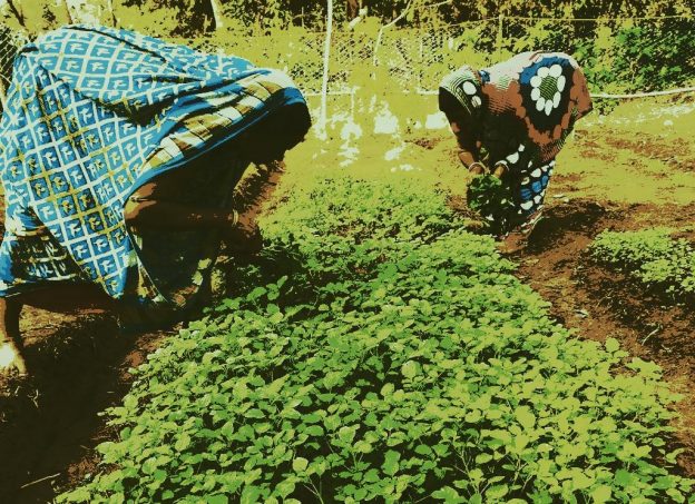 Rural Women Gardening