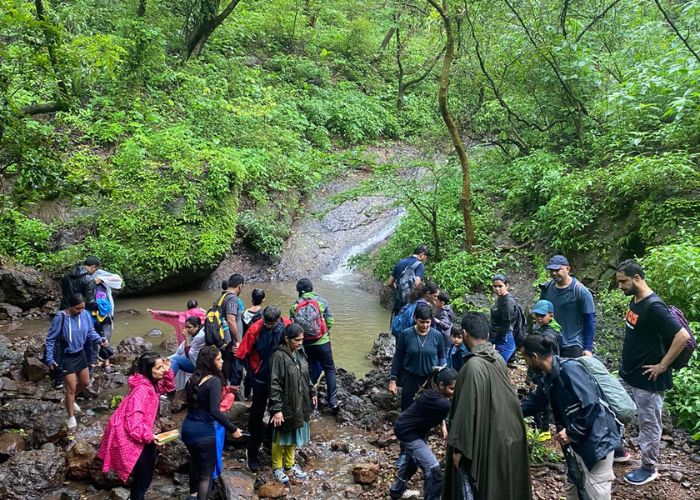 Aarey forest trail