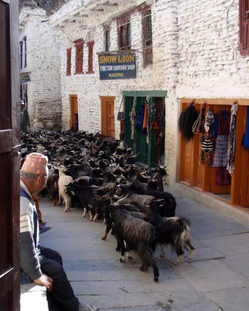 Marpha village Nepal