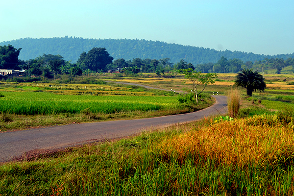 way to Amlashole