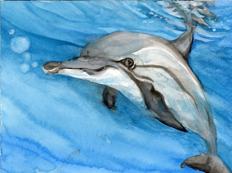 Dolphin