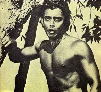Mrigaya mithun