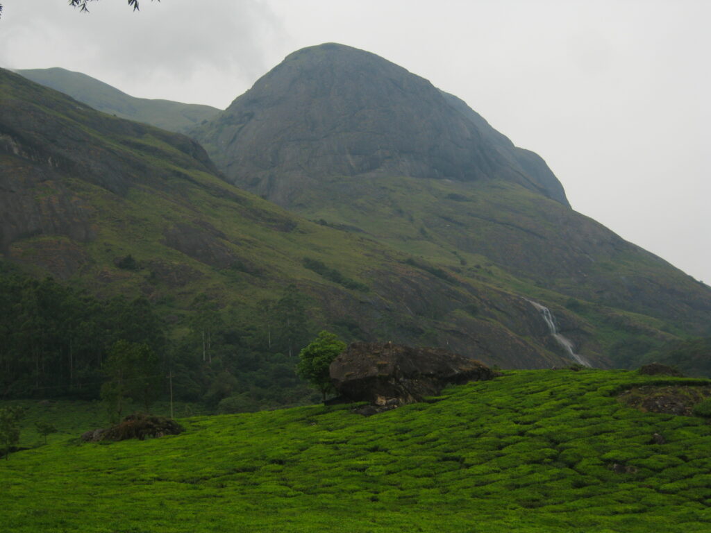 travel story Eravikulam National Park