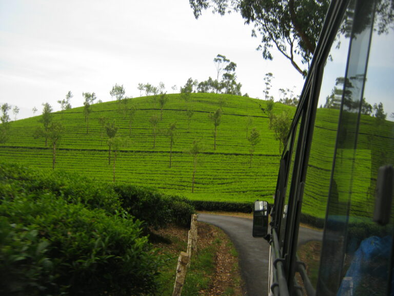 Towards ENP