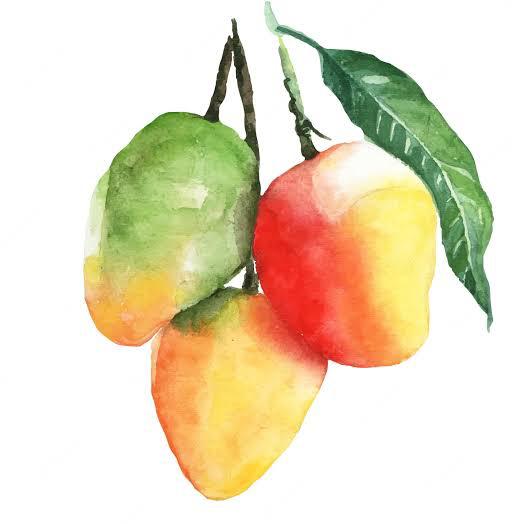 Mango Painting