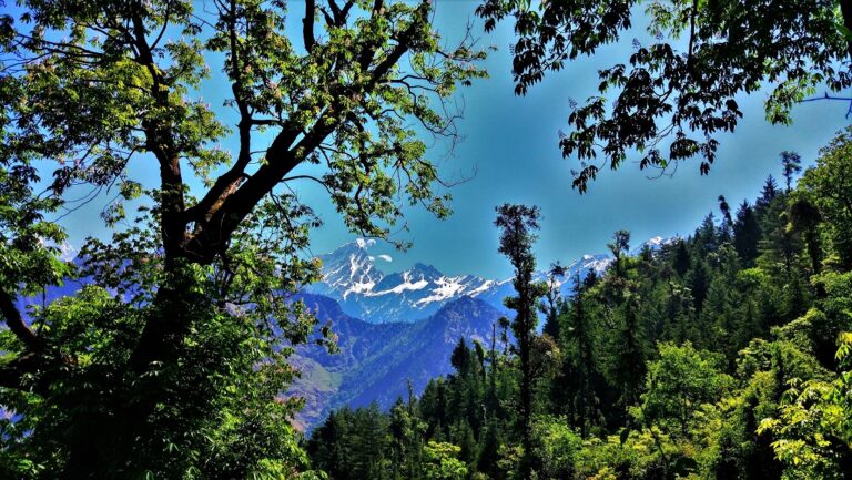 On the way to auli