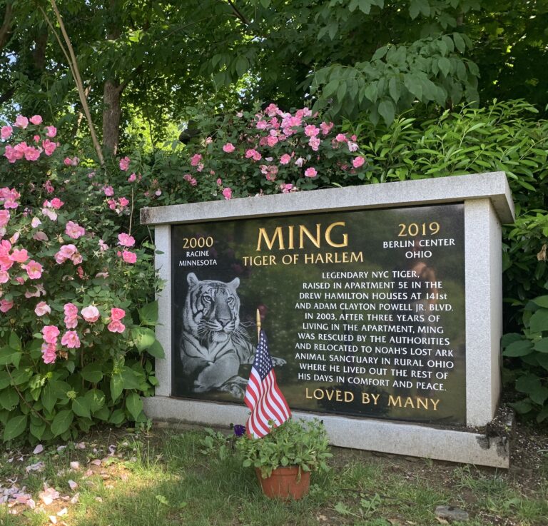 Memorial plaque of Ming of Harlem