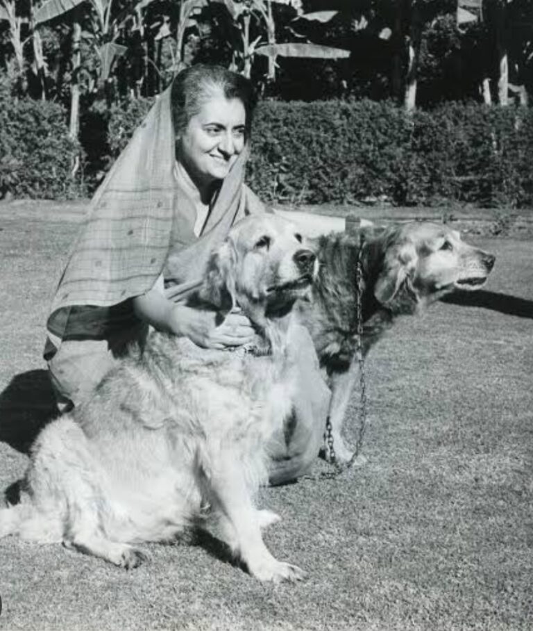 Indira Gandhi with her pets