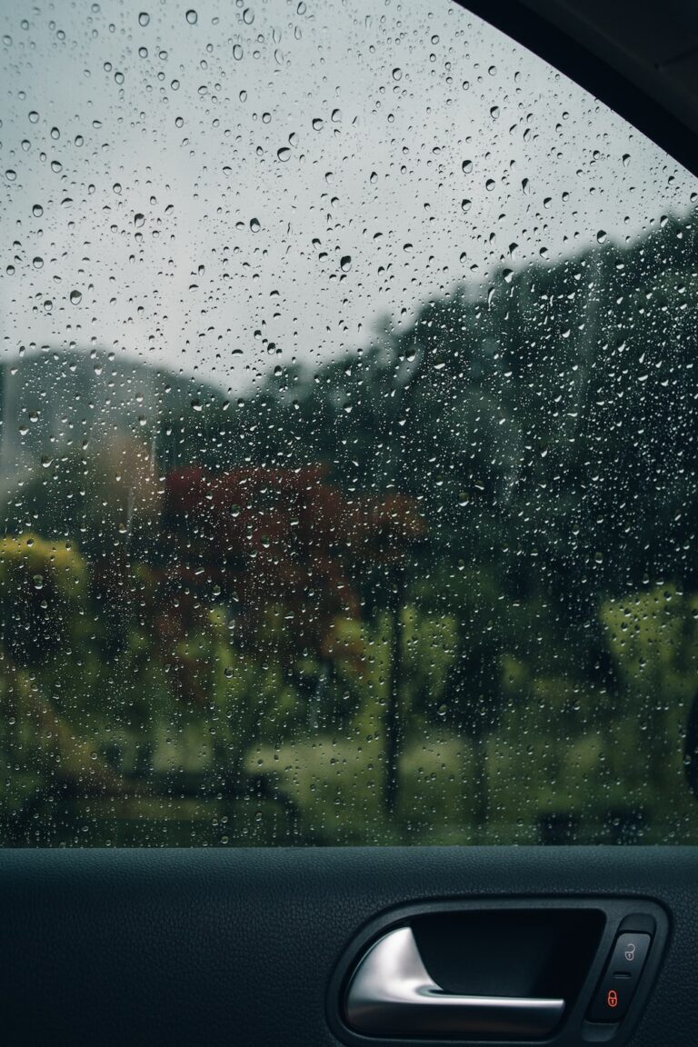 Rain