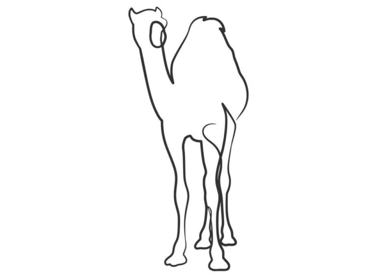 line drawing of camel