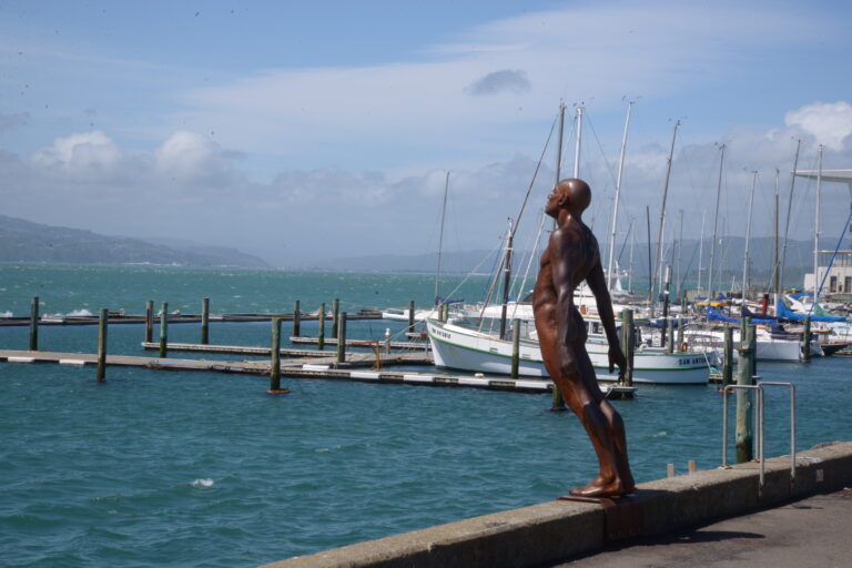 Wellington diver statue by the sea