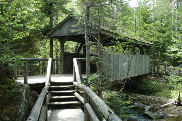 river bridge