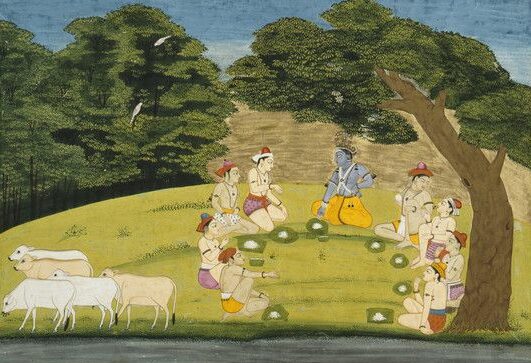 Picnic krishna