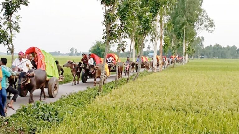 গরুর গাড়িতে মাইক বেঁধে গান বাজাতে বাজাতে বরযাত্রীরা যেতেন কন্যার বাড়িতে