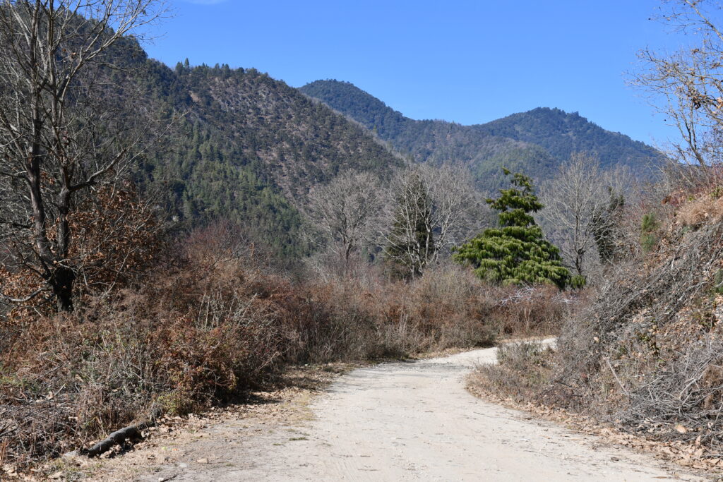 Arunachal Pradesh Travelogue photo (12)