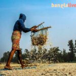 Dry Fish Photo Story Cover
