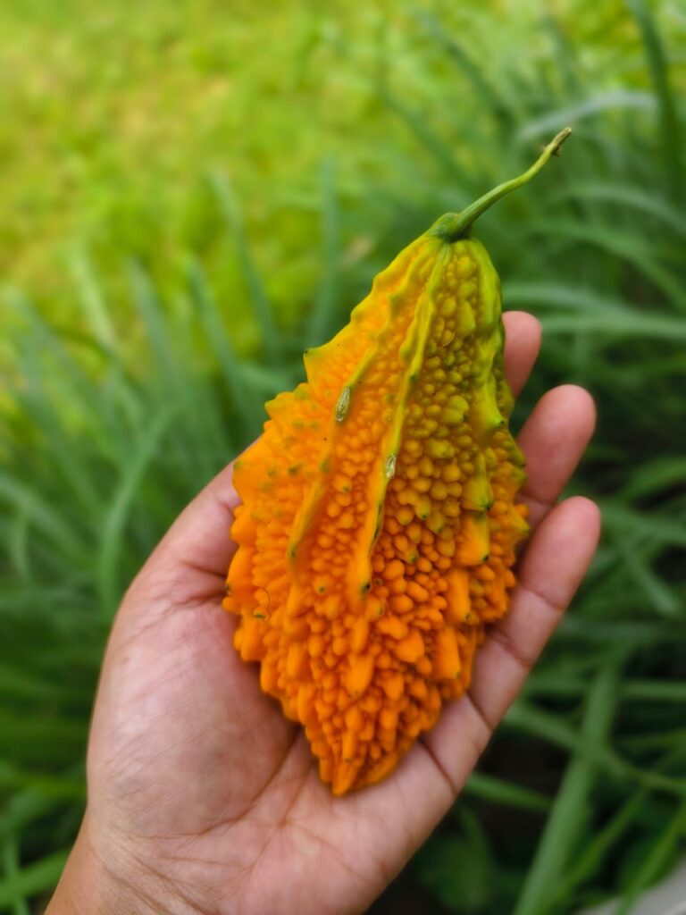 Jyeshtha month