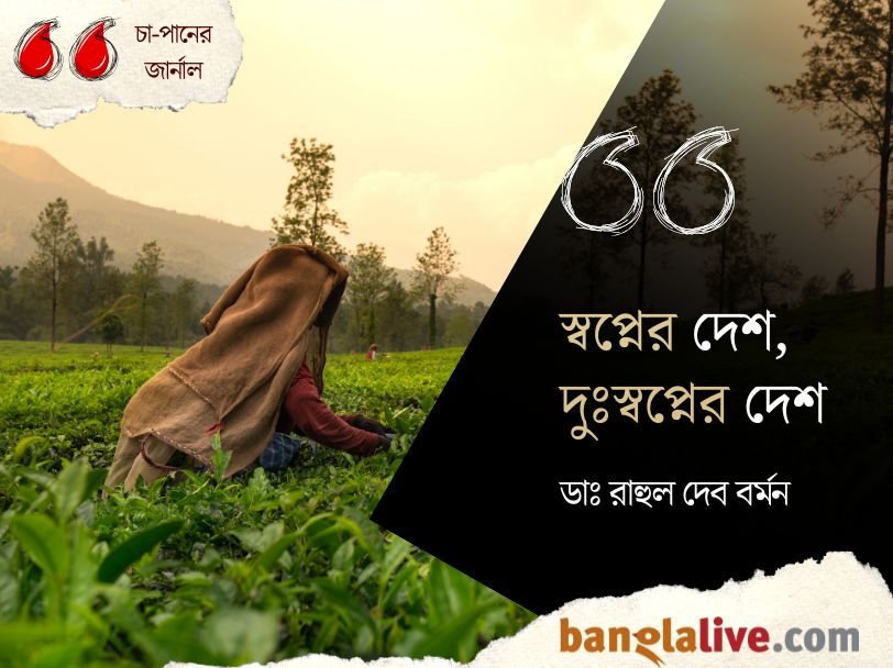 World Tea Day