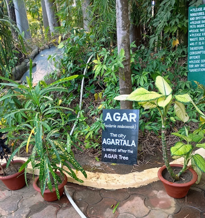 Tripura