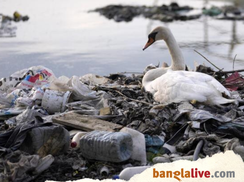 World_Environment_Day_Tapan_Saha_05.06.2025_VB (4)