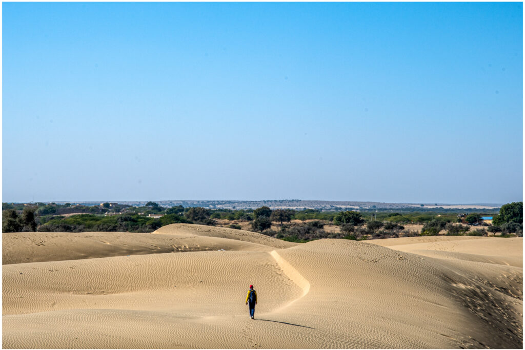 Desert Life